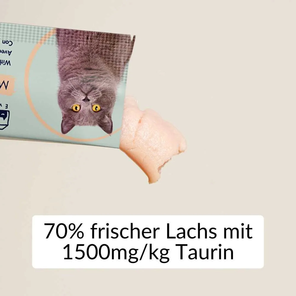 70% Lachs Schleckies 5x15g - RumbleBox