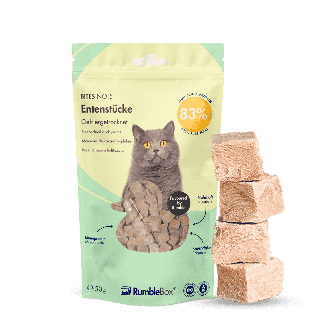 KatKare Hypoallergene Katzensnacks - Gefriergetrocknete Monoprotein Leckerlis