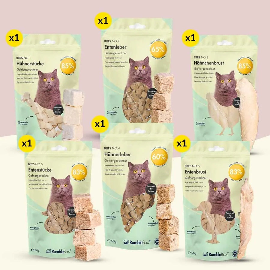 Sechs verschiedene gefriergetrocknete Katzensnacks mit hohem Fleischanteil – rumblebox
