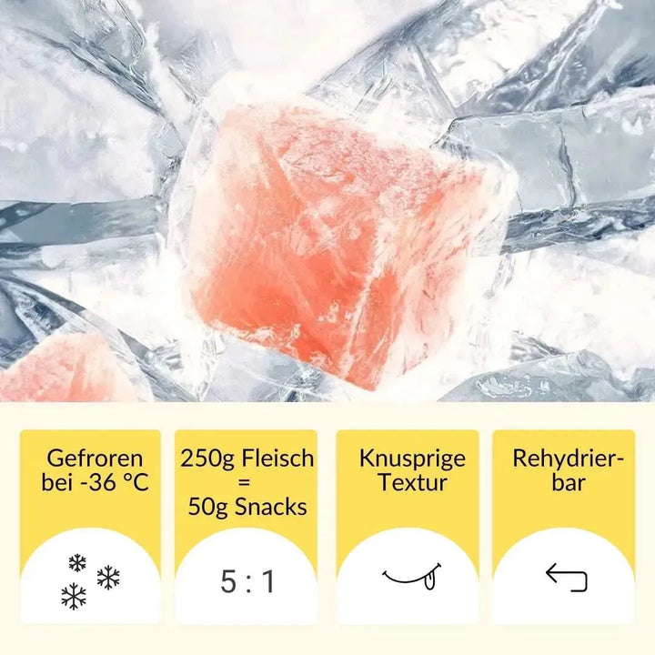 Gefrorene Fleischbasis für gefriergetrocknete Katzensnacks in Premiumqualität – rumblebox
