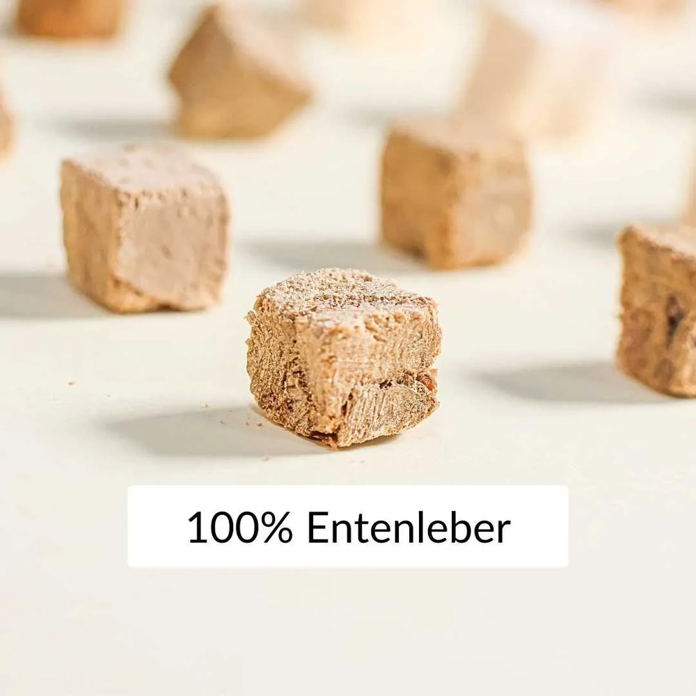 XXL Sparbox Entenleber 6x50g - RumbleBox