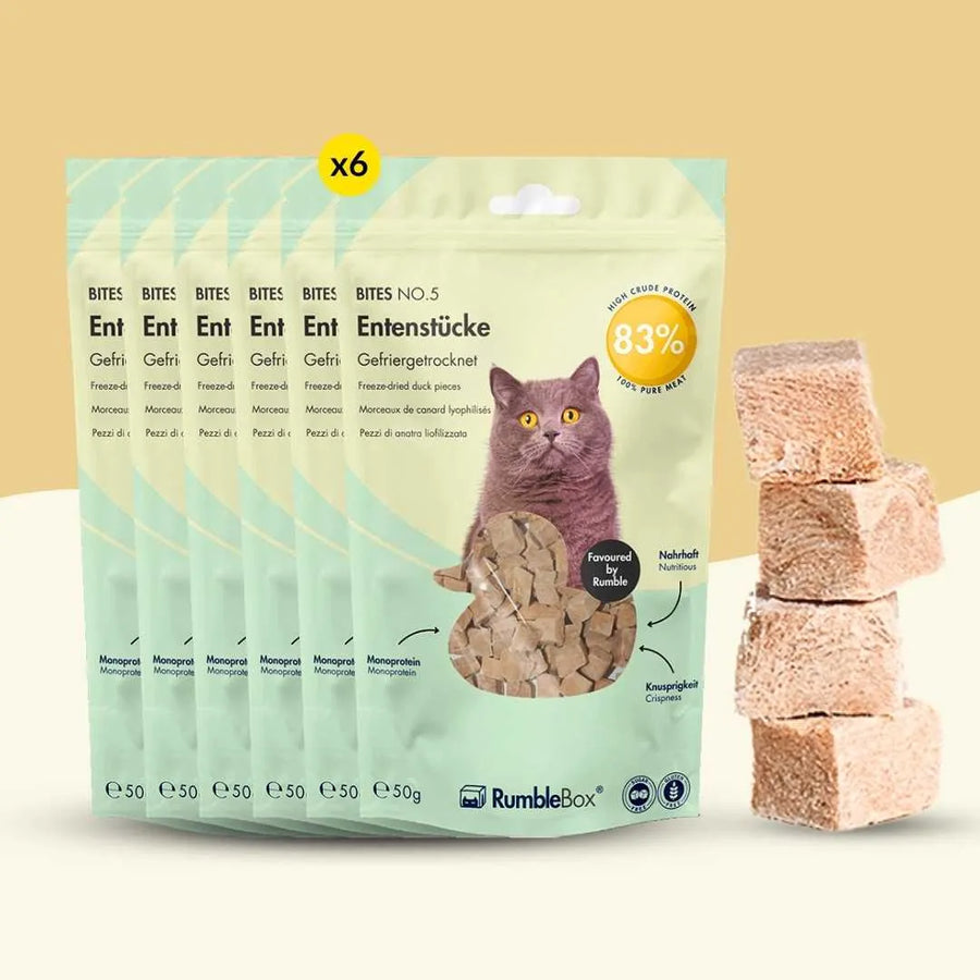 XXL Sparbox Entenstücke 6x50g - RumbleBox