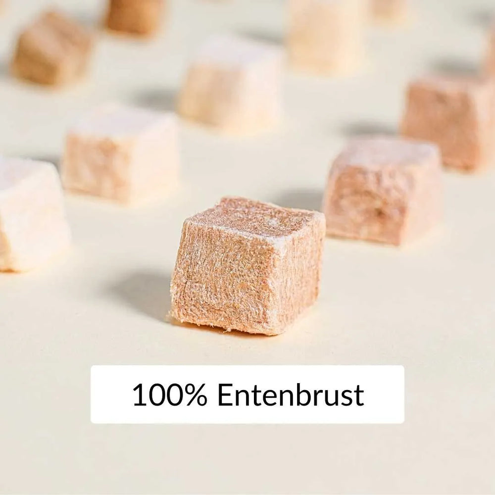 Nahaufnahme von 100 Prozent Entenbrust in gefriergetrockneter Form, einzeln gestreute proteinreiche Wuerfel als gesunder katzensnack - rumblebox