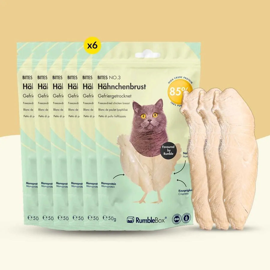 XXL Sparbox Hähnchenbrust 6x50g - RumbleBox