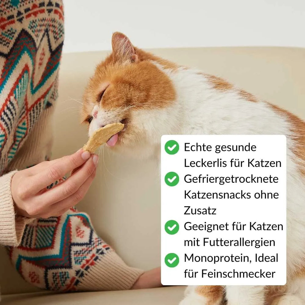 Katze genießt einen natürlichen gefriergetrockneten Snack  – rumblebox