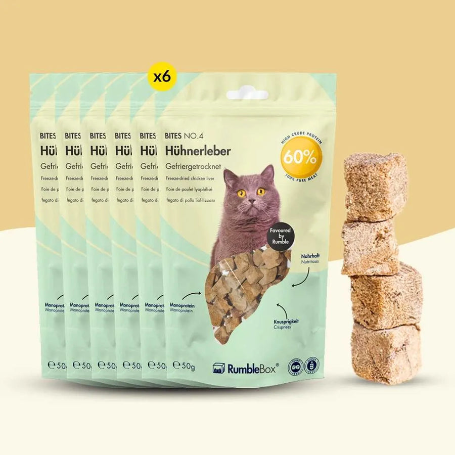 XXL Sparbox Hühnerleber 6x50g - RumbleBox