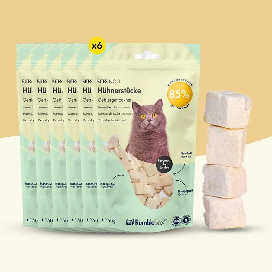 XXL Sparbox Hühnerstücke 6x50g - RumbleBox
