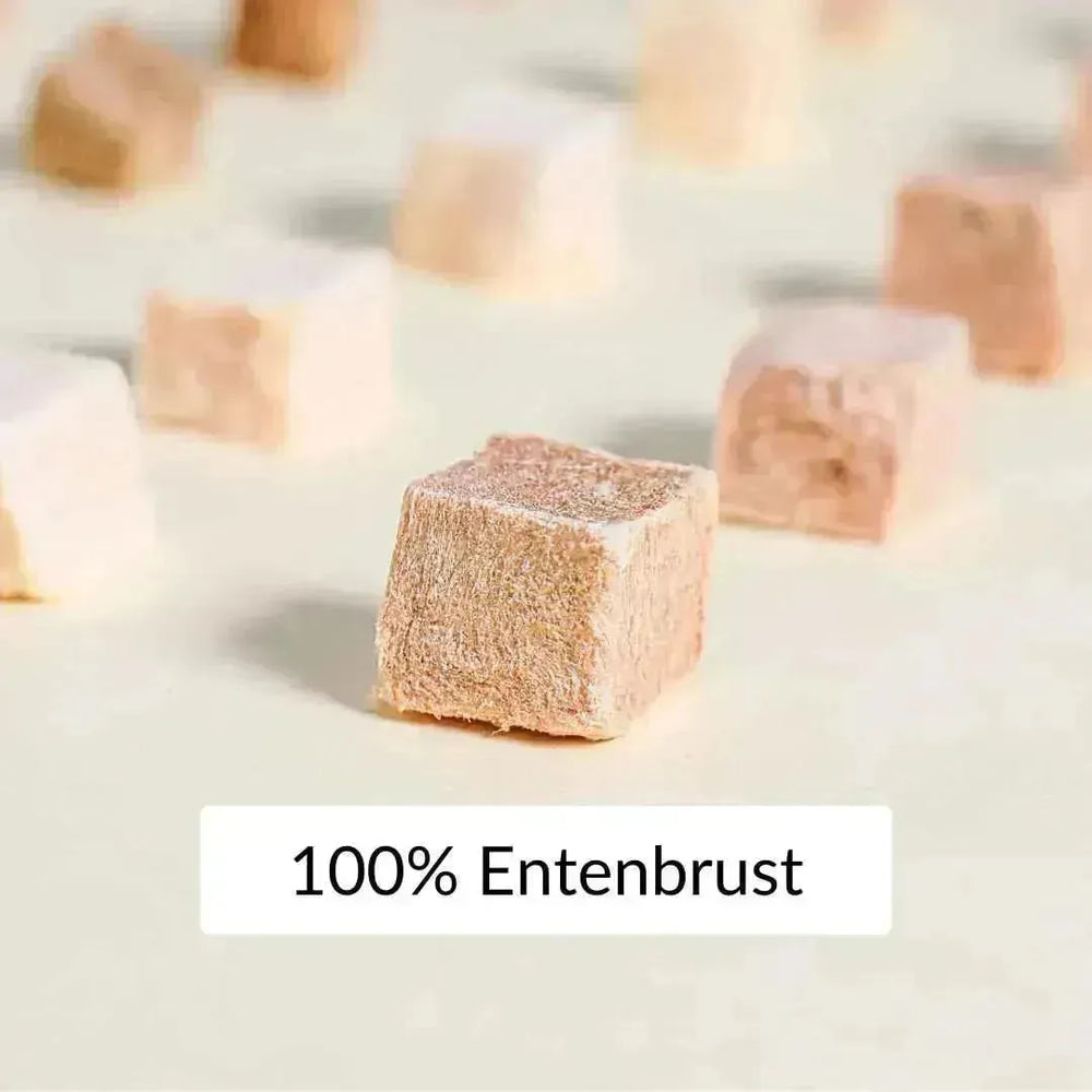 Premium Sparbox Ente 3x50g - RumbleBox