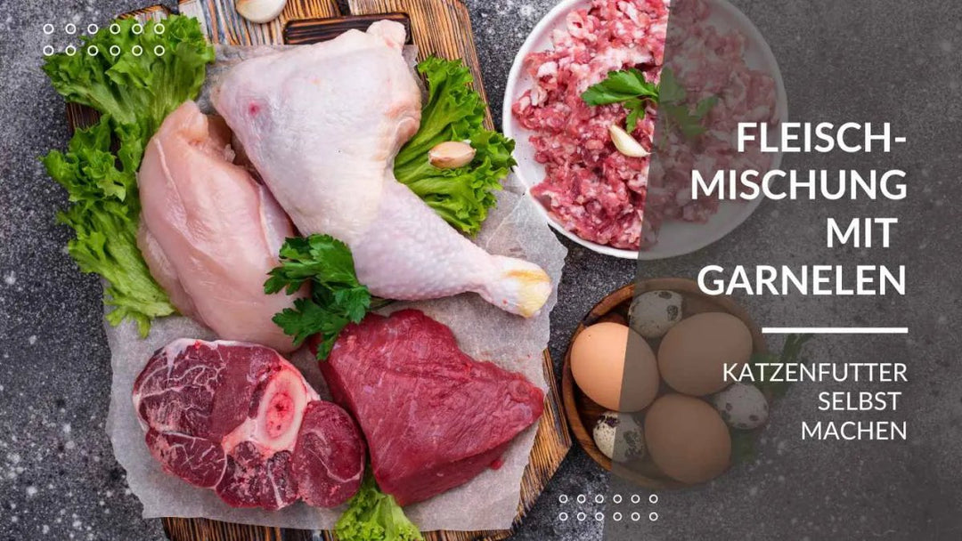 Fleischmix mit Garnelen - Rezepte für Katzen in 5 Schritte - RumbleBox