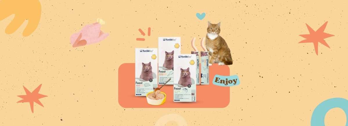 Schleckies Box - RumbleBox