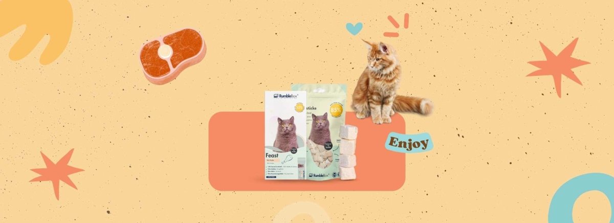 Bestseller - RumbleBox