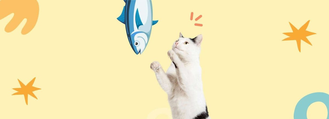 Thunfisch-Box - RumbleBox