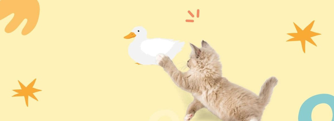 Enten Box - RumbleBox