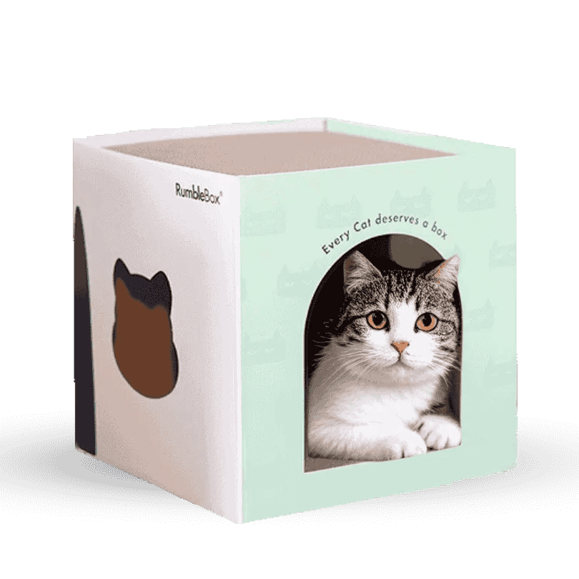 White cat play box with green accents and cut-out openings, perfect for cats to explore and relax.
