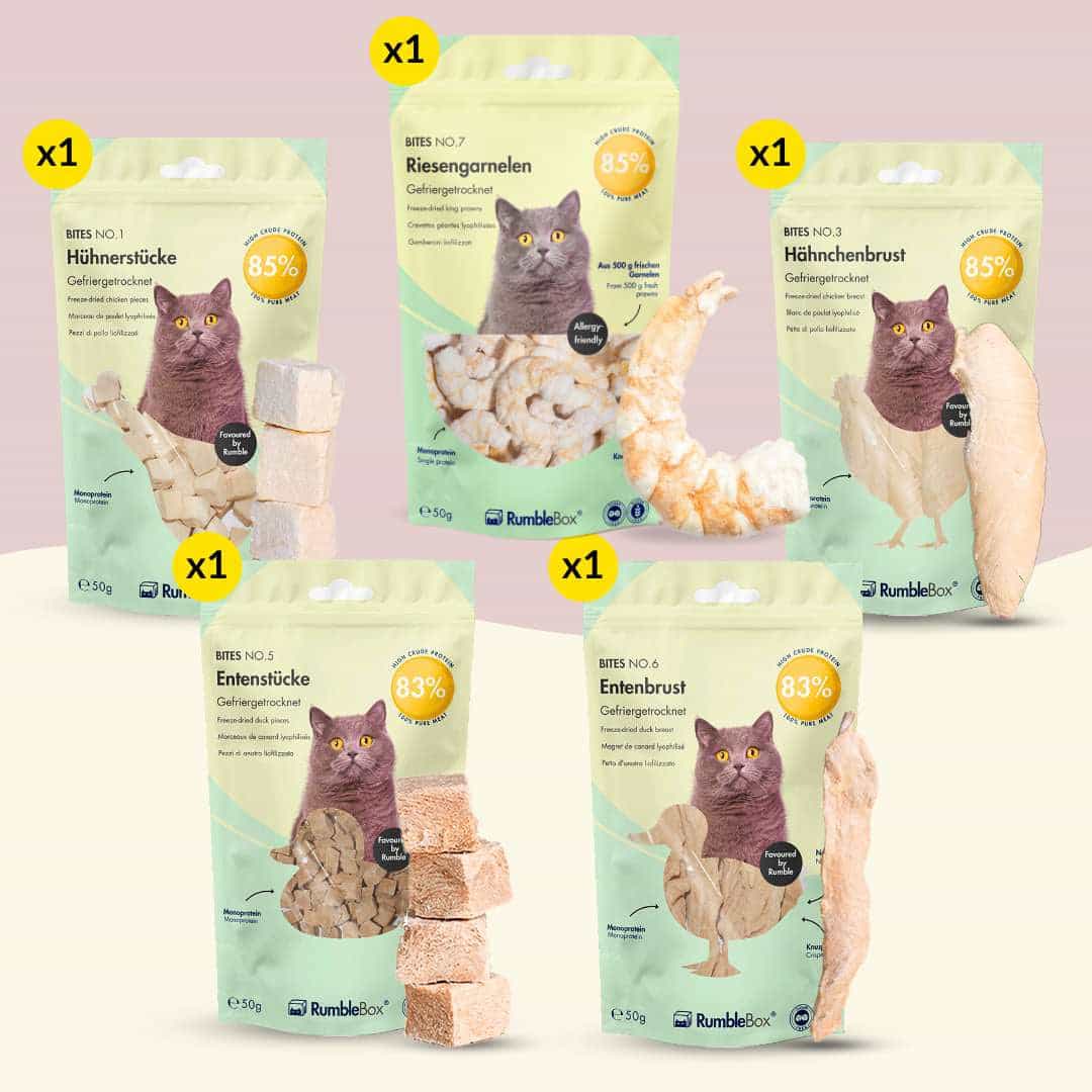 Assorted RumbleBox cat treats: chicken, duck, shrimp, and chicken breast in eco-friendly packaging.