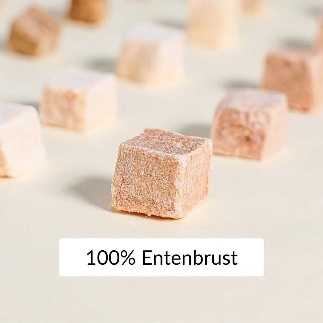 Nahaufnahme von 100 Prozent Entenbrust in gefriergetrockneter Form, einzeln gestreute proteinreiche Wuerfel als gesunder katzensnack - rumblebox