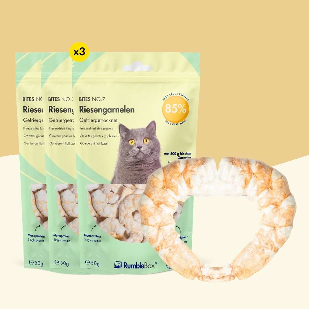 Gefrietrockenete_Katzensnacks_RumbleBox_-_XXL_Riesengarnele_Cover