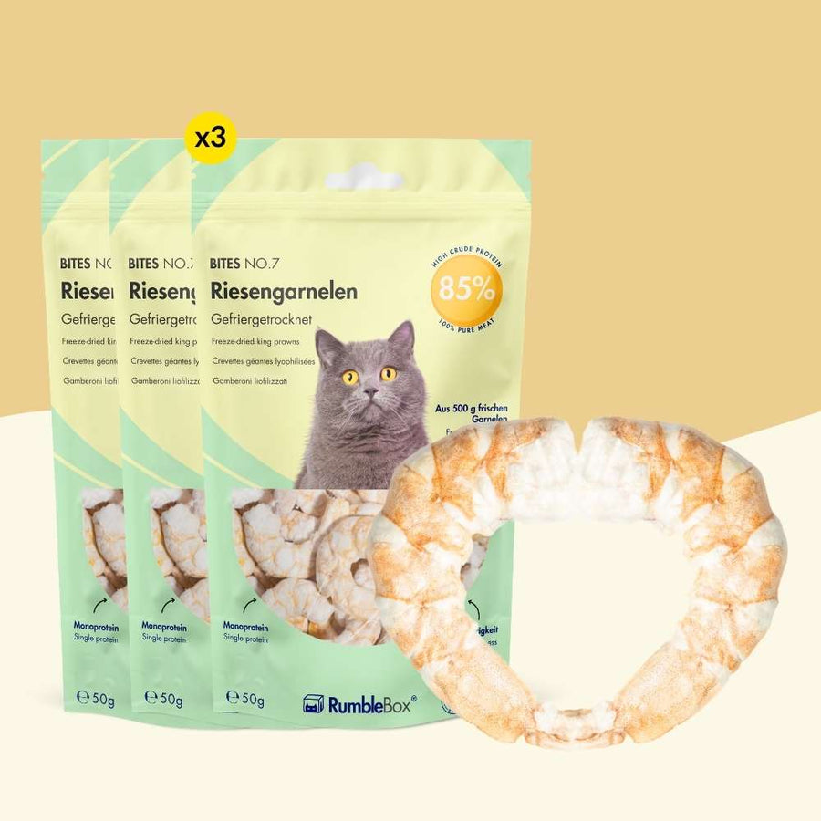 Gefrietrockenete_Katzensnacks_RumbleBox_-_XXL_Riesengarnele_Cover