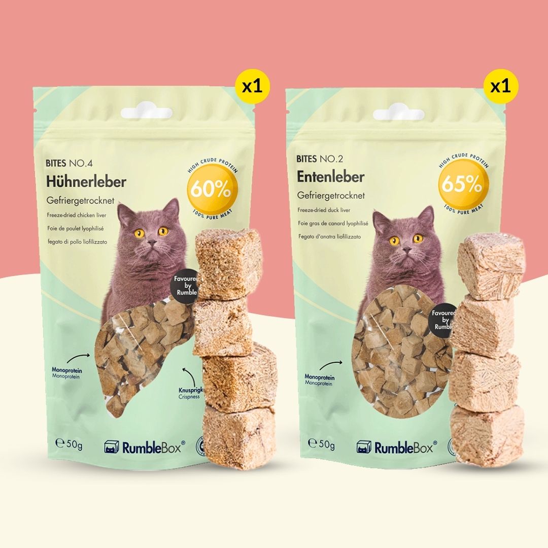 Sparbox Lebergenuss 2x50g