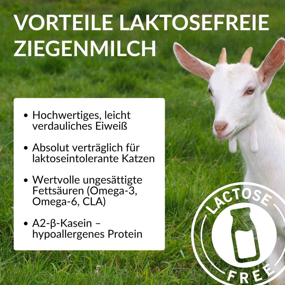 XXL Sparbox Hühnerstücke mit laktosefreier Ziegenmilch 6x50g
