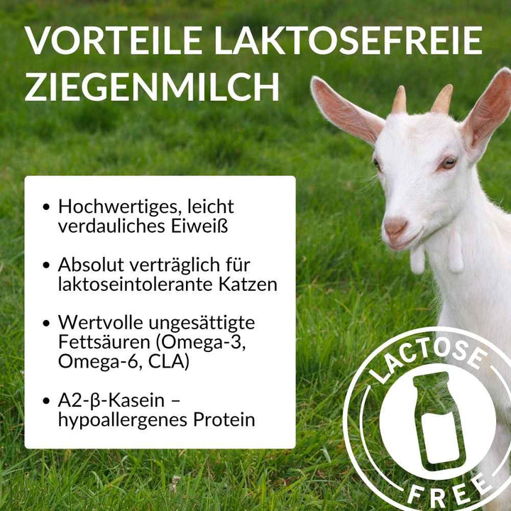 XXL Sparbox Hühnerstücke mit laktosefreier Ziegenmilch 6x50g