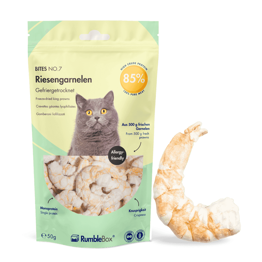 Dried giant shrimp for cats, 50g, allergy-friendly, packaged with a playful gray cat design on a vibrant green background.
