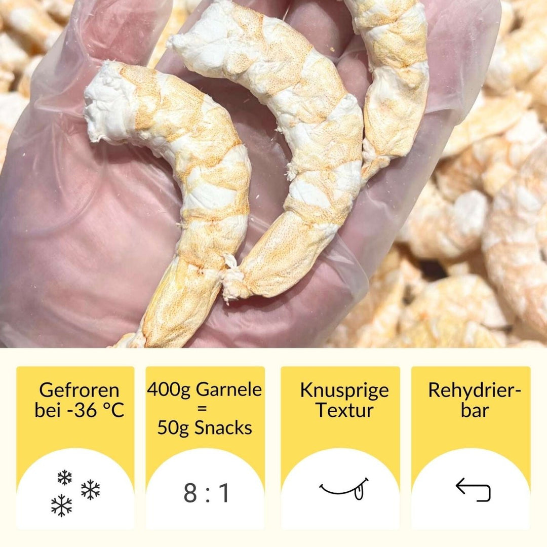 Gefrietrockenete_Katzensnacks_RumbleBox_riesengarnele_Technik