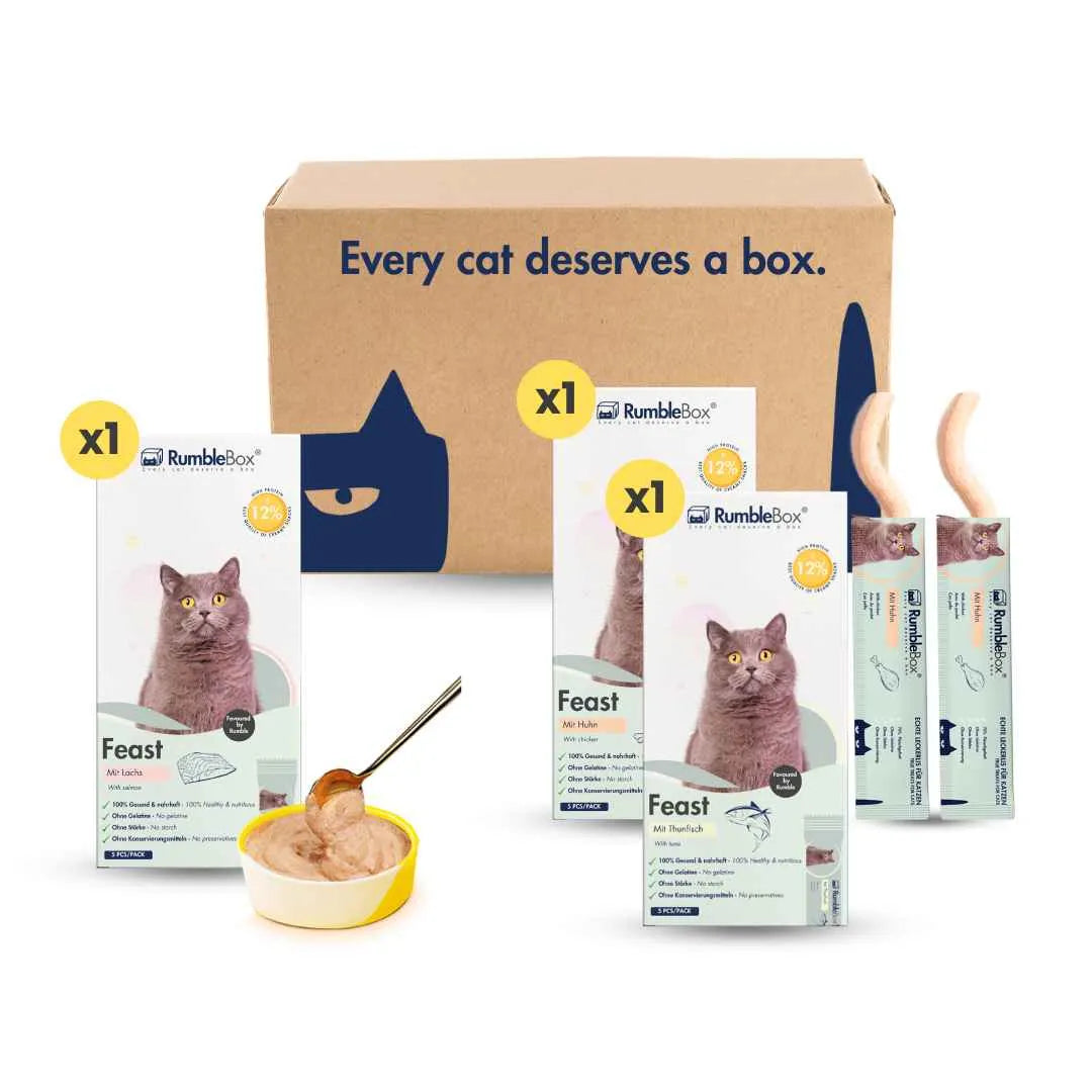 KatzenLeckerlis-Schleckies-SparboxUltimate-Cover-RumbleBox