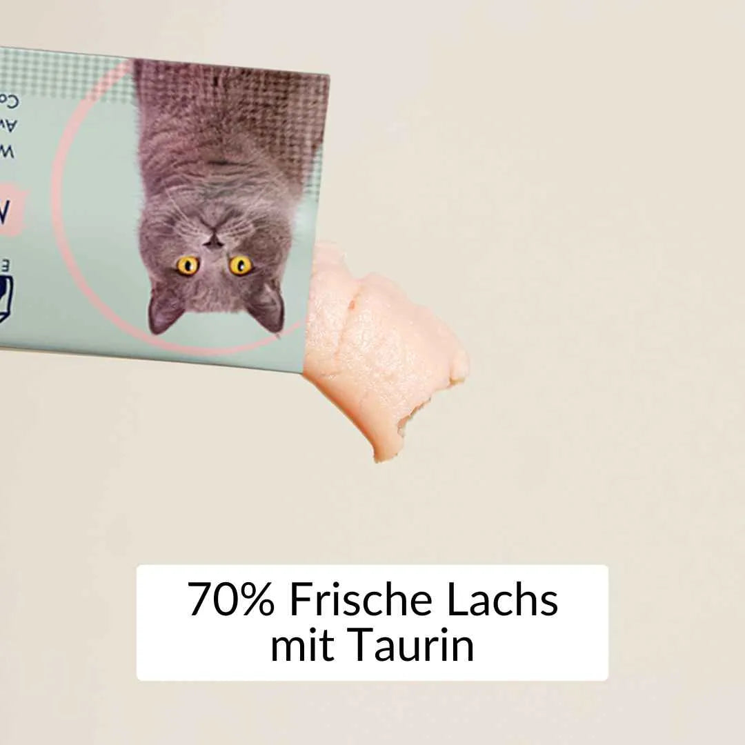 KatzenLeckerlis-Schleckies-XXL-lachs-produktfoto-RumbleBox