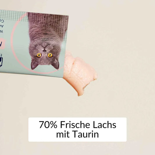 KatzenLeckerlis-Schleckies-lachs-produktfoto-RumbleBox