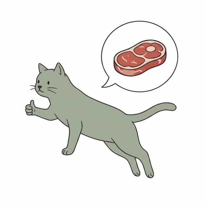 Gray cartoony cat giving a thumbs up, dreaming of a juicy steak in a speech bubble.