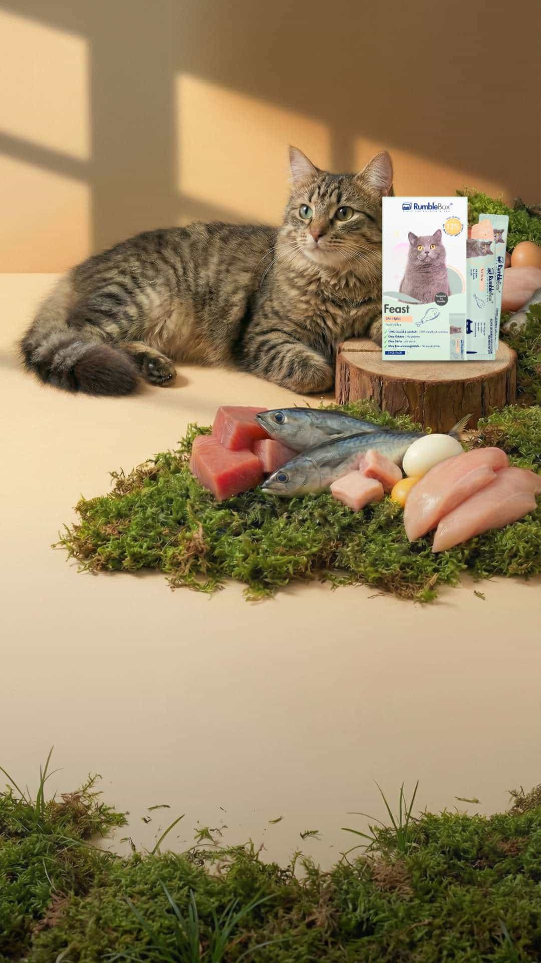 Tabby cat with gourmet pet food, featuring salmon, chicken, and eggs, styled on natural moss and wood backdrop.