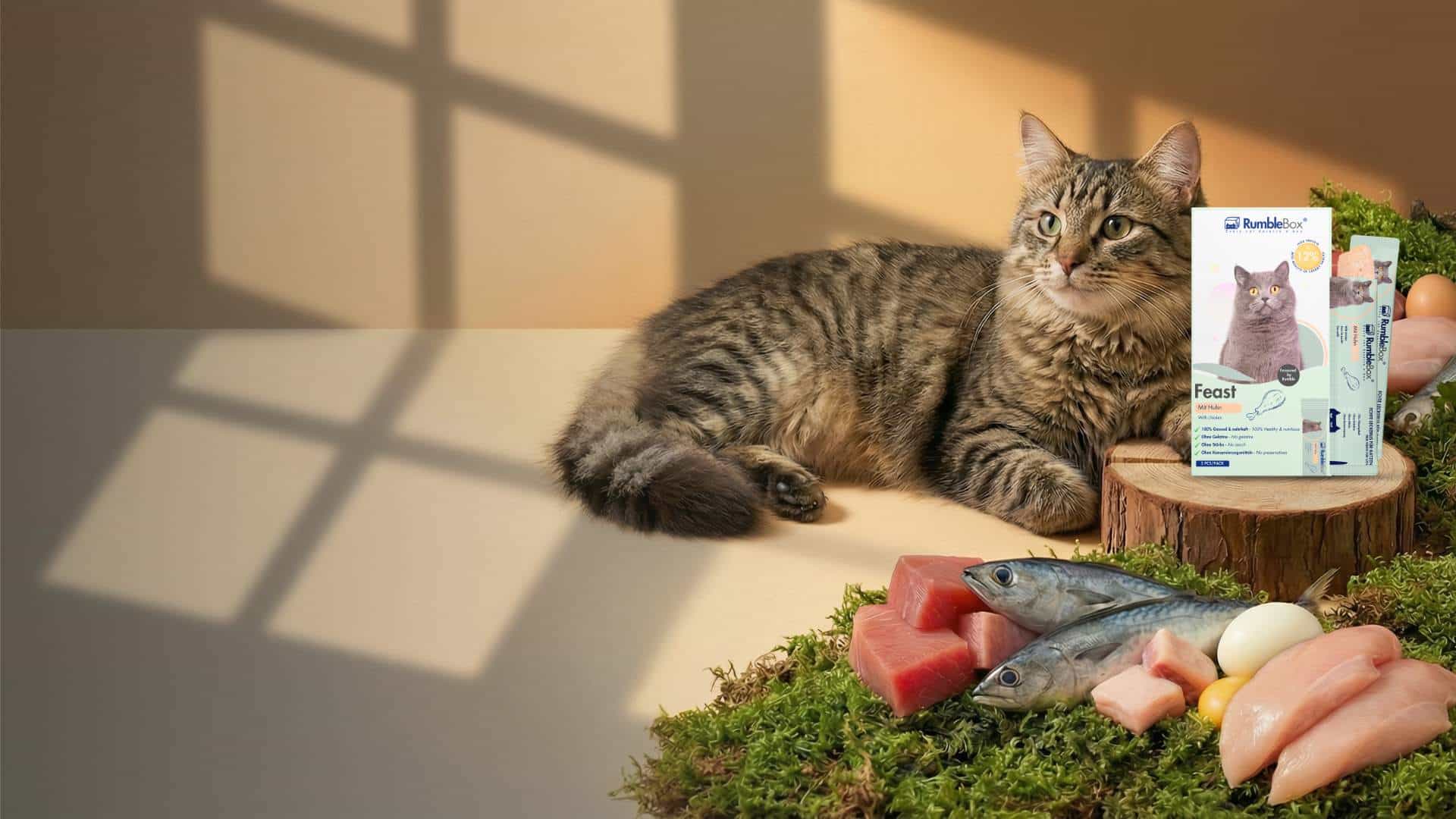 Tabby cat next to Rumblecat Feast wet cat food, featuring real fish, meat, and eggs on a mossy display.