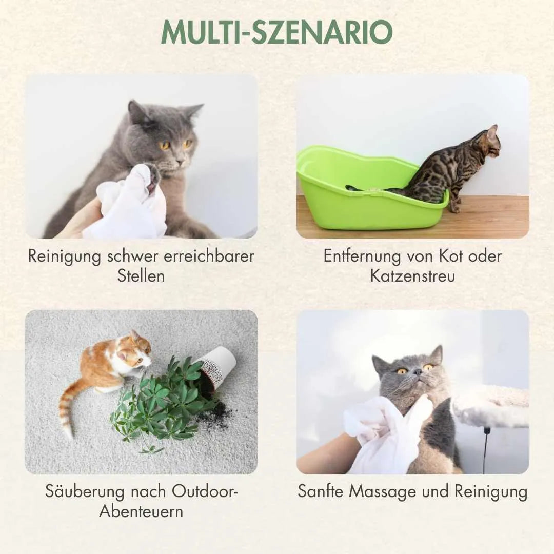 Pflege Feuchttücher für Katzen - 6pcs - RumbleBox