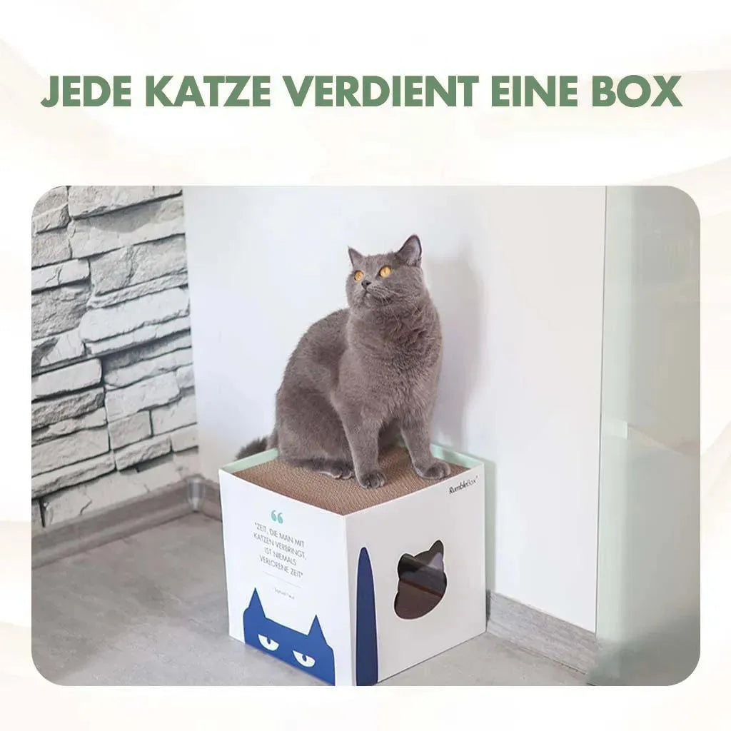 Katzenhaus aus Pappe - Rumble "Box"