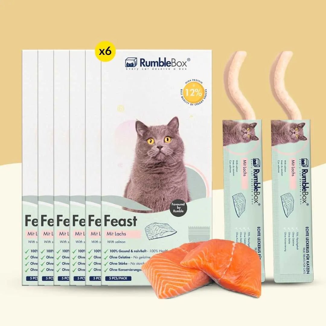 XXL Sparbox Schleckies Lachs 30x15g - RumbleBox