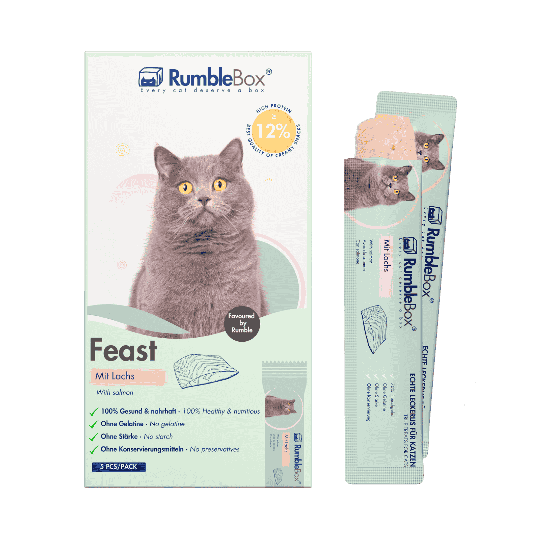 RumbleBox Feast cat treats, salmon flavor, in a green box with gray cat; high-protein, grain-free, 5 sticks per pack.
