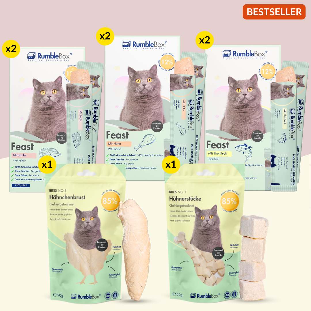 RumbleBox cat food bundle: 2 x chicken breast, 2 x fish flavors, grain-free, natural ingredients, best-selling product.