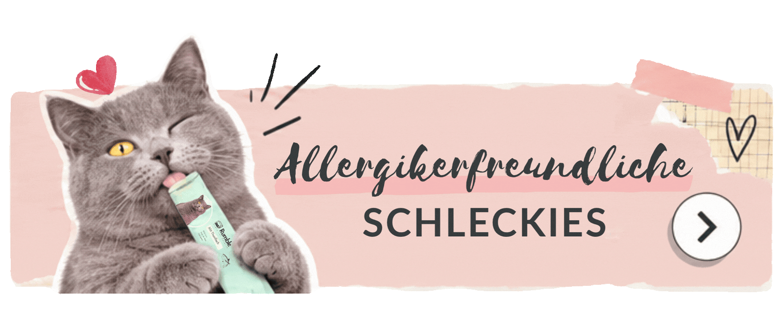 Graue Katze mit RumbleBox Schleckie im Banner für allergikerfreundliche Katzensnacks.
