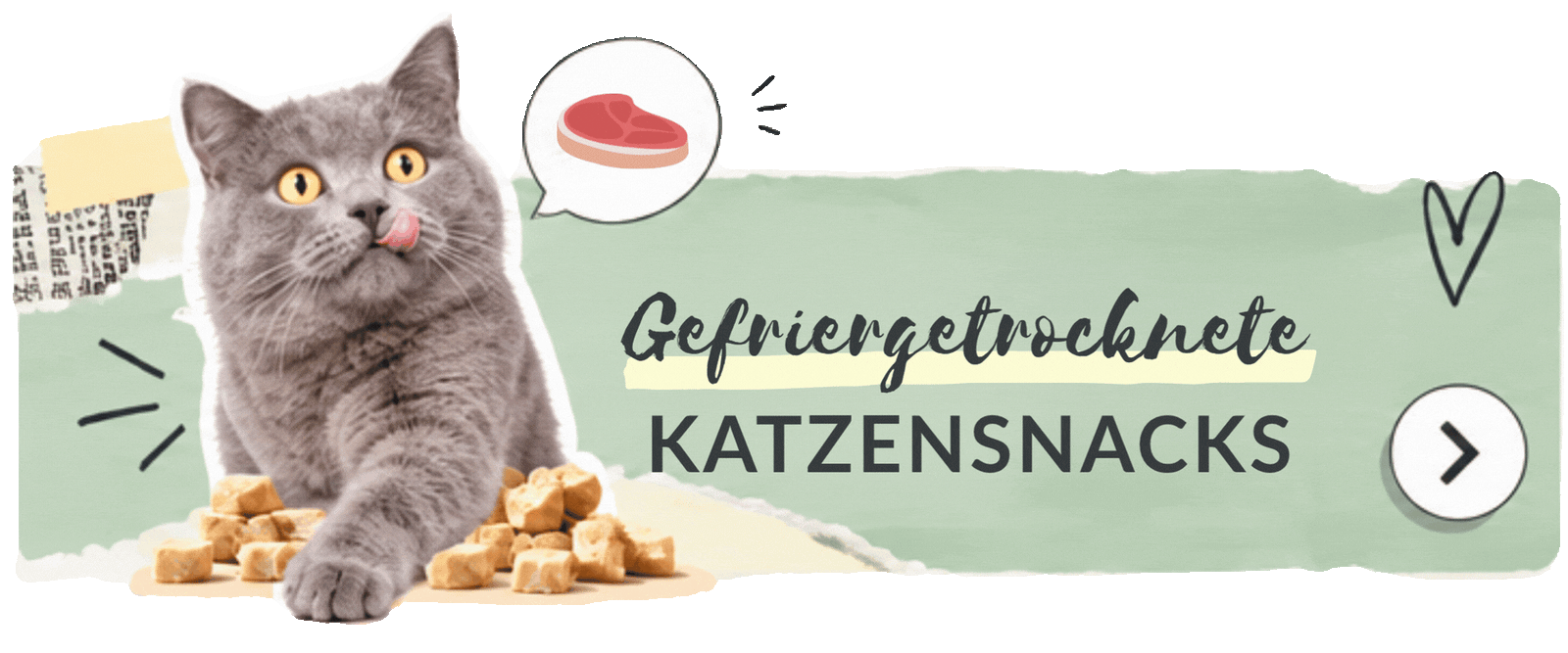 Graue Katze mit Fleischwürfeln im Banner für gefriergetrocknete Katzensnacks.