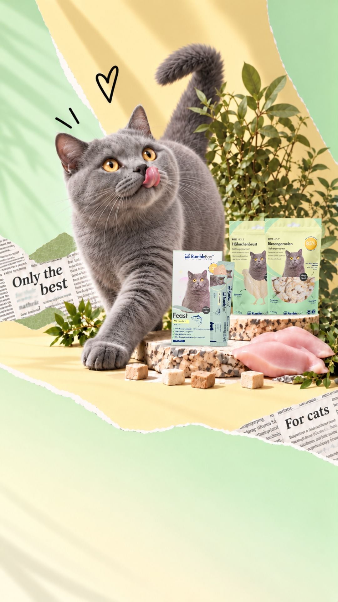 Graue Katze neben RumbleBox Katzensnacks mit Hühnerbrust und gefriergetrockneten Fleischwürfeln.